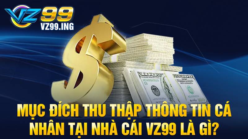 VZ99 34 VZ99 thu thập thông tin người chơi để làm gì?